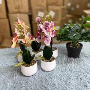 Décoration pot de fleur